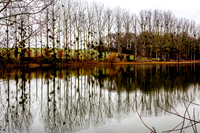 IMG_8423-5