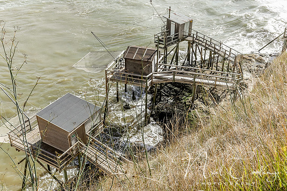 Mechers sur Gironde-2185