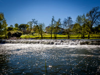 IMG_4399-4