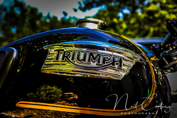 Truimph Bonneville T100  (5 of 7) - 2028