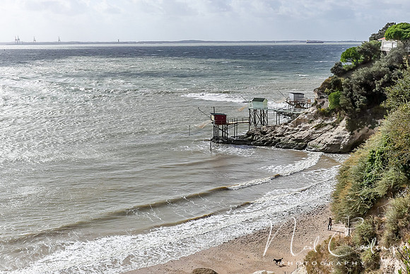 Mechers sur Gironde-2182