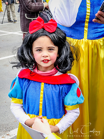 Riberac Carnaval 2019-0938