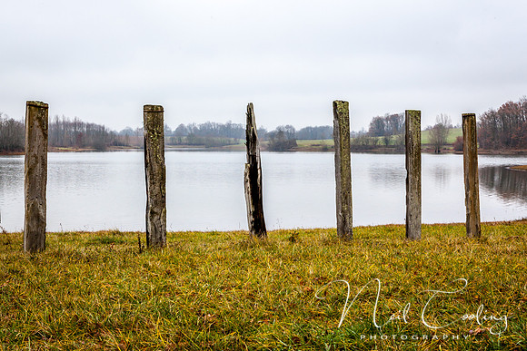 IMG_8453-14