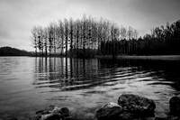 IMG_8446-9