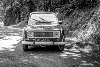Renault 4GTL-1996-2
