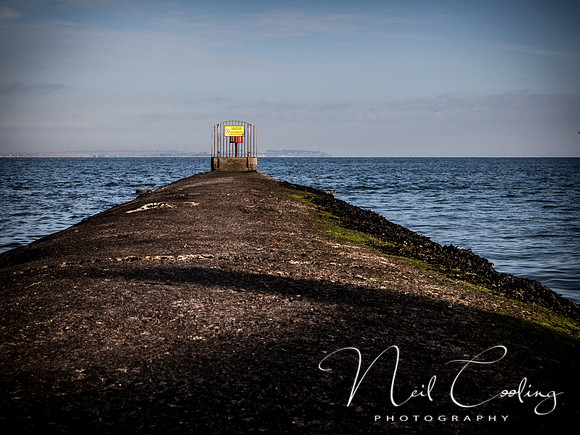 IMG_5286-3