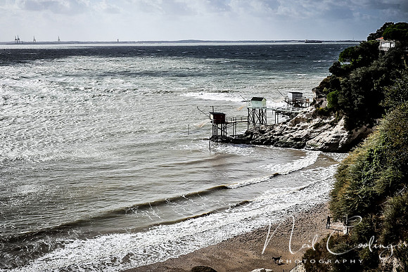 Mechers sur Gironde-2182-2