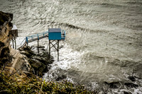 Mechers sur Gironde-2190-2