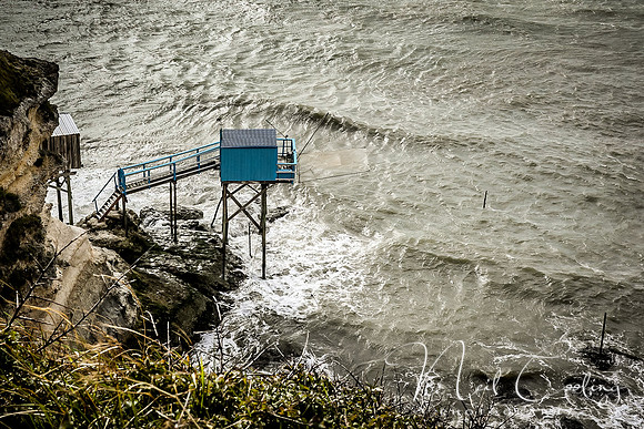 Mechers sur Gironde-2190-2