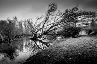 IMG_8404-1