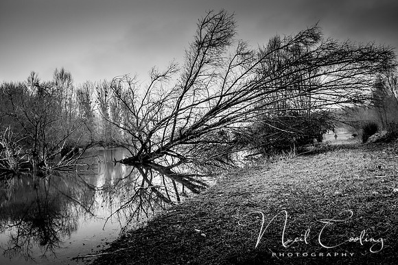 IMG_8404-1