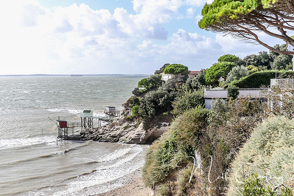 Mechers sur Gironde-2177