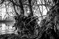IMG_8436-7