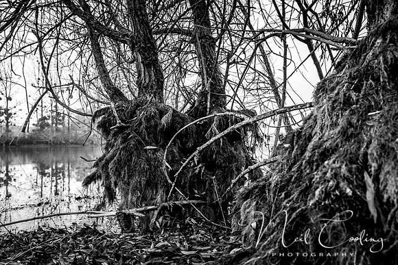 IMG_8436-7