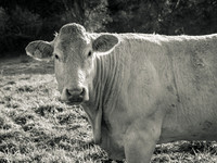 20211101-_OM00029-2