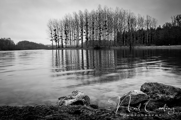 IMG_8451-10