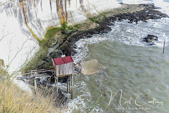 Mechers sur Gironde-2188