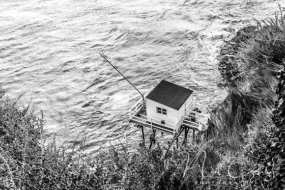 Mechers sur Gironde-2199-3