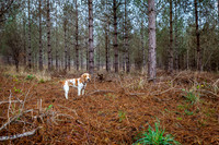 IMG_8431-9